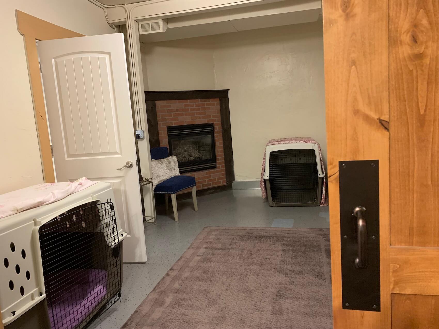 Boise Overnight Dog Boarding Dog Retreat Center